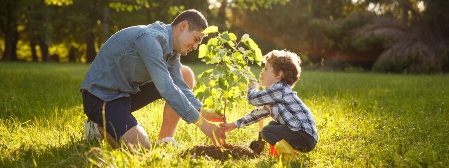 O que é sustentabilidade: Pai e filho