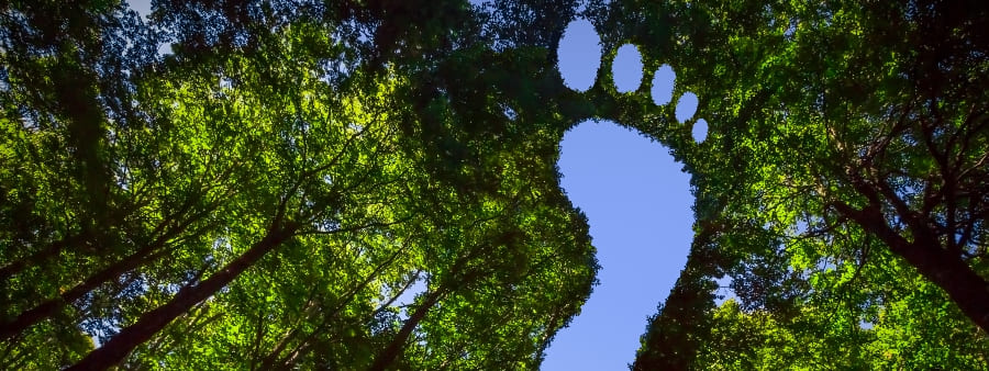 pegada ecológica: imagem de pegada formada por copas de árvores