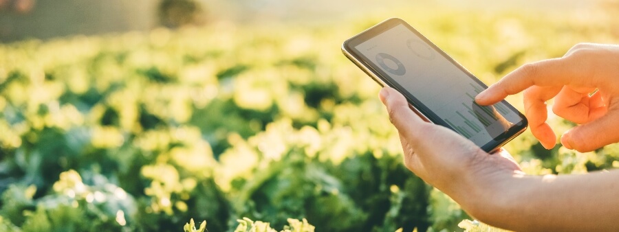 tecnologia e meio ambiente: pessoa usando tablet em plantação